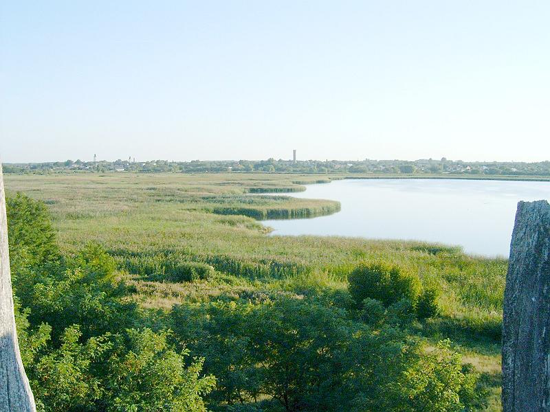 2009.08.20 046.jpg